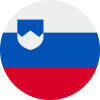 Slovinský jazyk